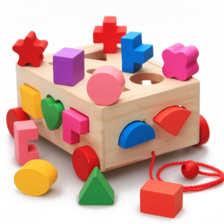 Shape Matching Car Intelligence Box