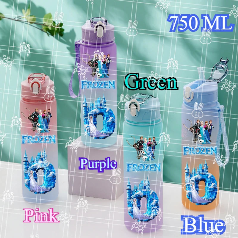 750ML Letter A-L Print Frozen Water Bottle